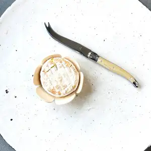 Trend ing Design Käse Edelstahl Besteck Set Hochzeit Verwenden Sie Küchen geschirr Besteck Käse messer mit Holzgriffen