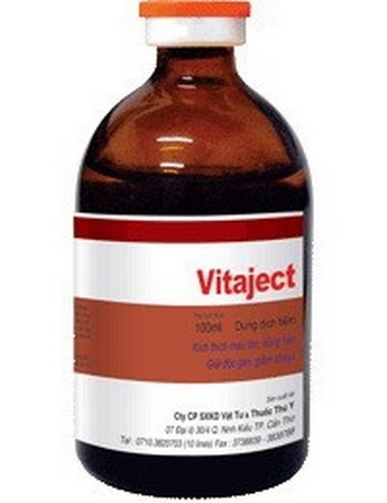 Vemedim Vietnam Vet GMP factory Multivitamin injection for Dog, Cat Vitaject