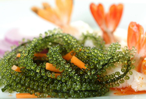 Uvas de mar deshidratadas, uvas de mar, ámbar + 84383004939 - Product Image 4