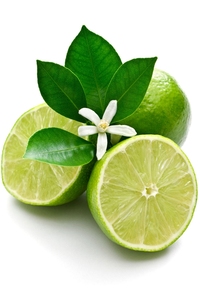 Aceite esencial de Lima prensado en frío orgánico puro de 100ml 100% aceite puro para reafirmar la piel pérdida de peso Italia GMP certificado OEM Peel Raw - Product Image 6