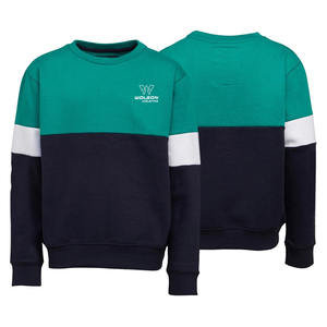 Sudadera de cuello redondo de Terry de peso pesado de alta calidad 2022 para hombre, jersey con logotipo personalizado, sudadera, diseño impreso, técnica lavada - Product Image 4