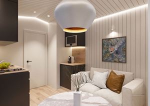 ADAY Pool House 15m2 Classique - Product Image 2