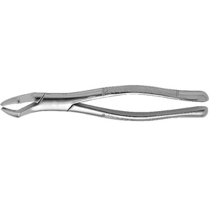 Tooth Forceps - Product Image 3