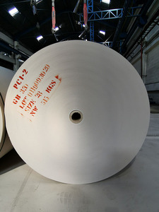 Rouleau Jumbo en carton gris à haute pureté, pour la fabrication de boîtes d'emballage de tubes en papier - Product Image 5