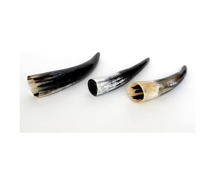 Bocina de búhos de tamaño Natural, 100% pares, producto de diferentes tamaños, producto al por mayor con artículos pulidos - Product Image 4