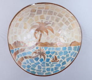 High Quality and Eco-Friendly Natural Coconut Shell Bowl for Serving Food - Product Image 1