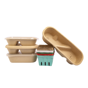 Fruit Packaging <b>Eco</b>-Friendly Anti Break Compostable Molded Pulp Tray Fresh Fruit Tray From Vietnam Manufacturer Paper Boxes - Product Image 6