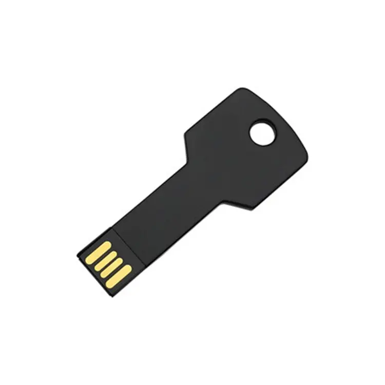 Metalls chl üssel form USB-Flash-Stick 2G 4G 8G 16G 32G USB mit benutzer definiertem Logo