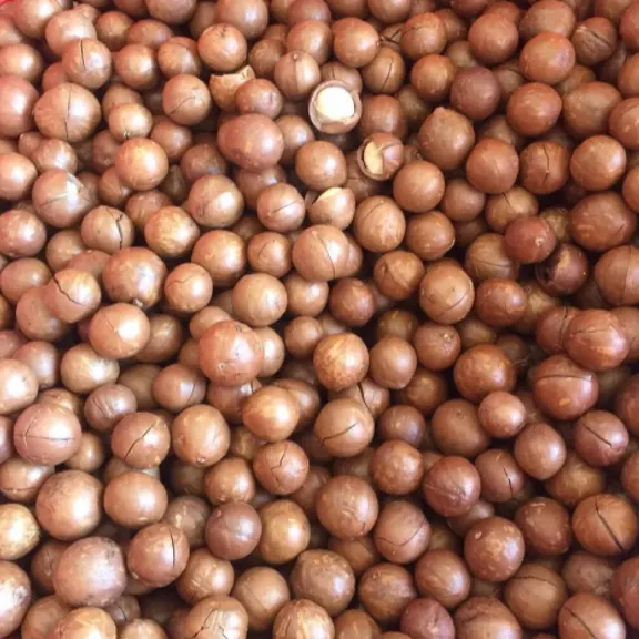 GROS NOIX DE MACADAMIA RÔTIES