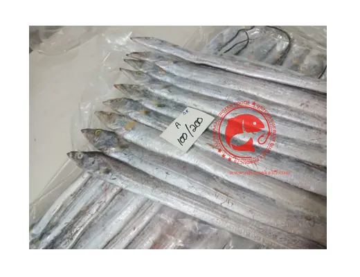 Frozen Ribbon Fishes From Arabian Sea In Bulk High Quality Ribbon Fish Available For Immediate Shipment