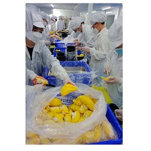 DURIAN - Product Image 2