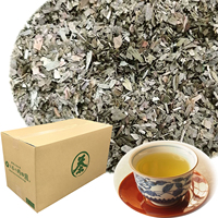 Gingko  Tea Healthy tea leaf type