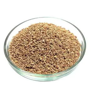 AJWAIN बीज मसाला