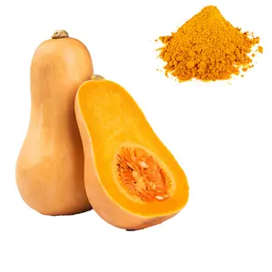 Reine KÜRBIS PULVER/Cucurbita mit Hoher Qualität von Vietnam/Whatsapp + 84 896611 913