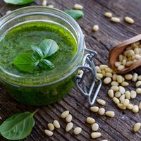 Calvi Pesto Di Liguria Olijf Basilicum Pinoli Knoflook Genova - Verse Italiaanse Condiment Groen 0,5kg IFS BRC Gecertificeerd Intens Italiaans