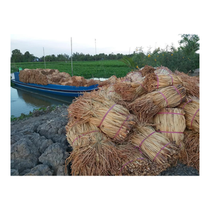 Jacintos de Agua Naturales en Venta/ Jacinto de Agua Seco de Vietnam con Buena Calidad y Precio - Product Image 1