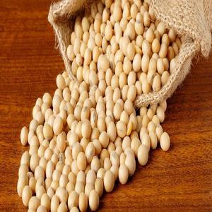 Cultivo de semillas oleosas de soja - Product Image 3