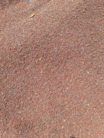 Graines de moutarde Ctc - 100% naturelles jaunes-brunes pour la préparation alimentaire, durée de conservation de 24 mois, modèle BD 2025, Chironton Trading Co
