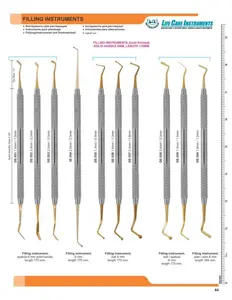 Raspador Dental profesional, relleno Dental de doble punta