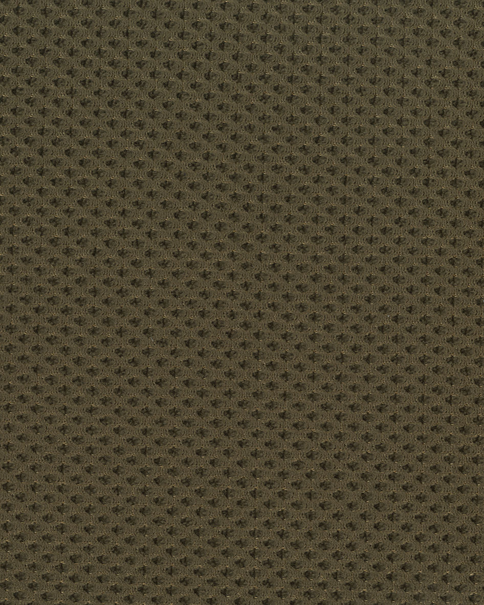 กองทัพสีเขียว