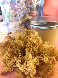 Wholesale Gold and Purple <b>Sea</b> <b>Moss</b>/Dried <b>Irish</b> <b>Moss</b>/ Golden <b>Irish</b> SeaMoss Ms. Lily - Product Image 3