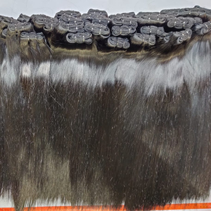 Vente en gros de cheveux naturels Remy indiens bruts de Temple Top Style Mèches colorées à double tirage Vendeur DHL Texture naturelle droite - Product Image 3