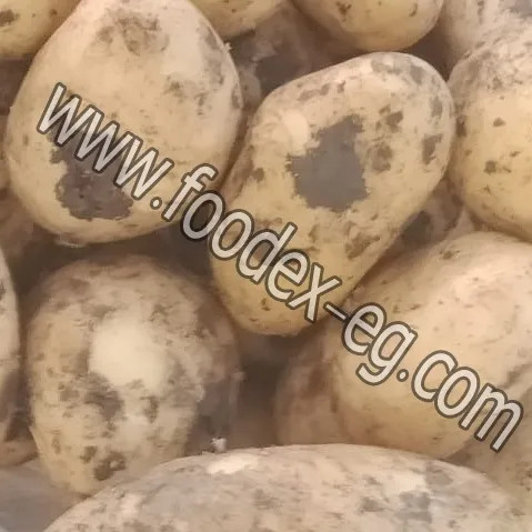 Hohe Qualität Frische Kartoffel Aus Ägypten Weiße Kartoffel/Rot <span class=keywords><strong>Kartoffeln</strong></span>