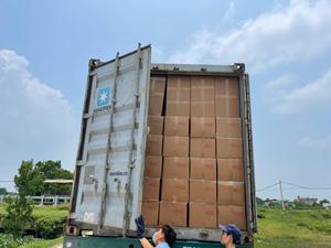 Filets à oiseaux suspendus d'extérieur, fait à la main, écologique en coquille de noix de coco, livraison gratuite - Product Image 4
