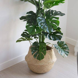 Home Decorative Seagrass Plant <b>Basket</b> Seagrass <b>Basket</b> Planters With Handles Seagrass Belly <b>Basket</b> 0084947900124 - Product Image 2