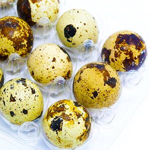 Quail Egg Holders Tray Clear Plastic Fresh Quail Eggs Packing Box