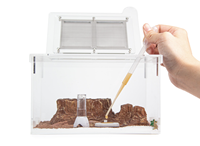 Fourmilière Classique Personnalisée Empire Ants en Plastique – Conteneur d'Élevage pour Fourmis – Fournitures Écologiques pour Fourmis 20x15x12cm – Décoration de Chambre Toutes Saisons
