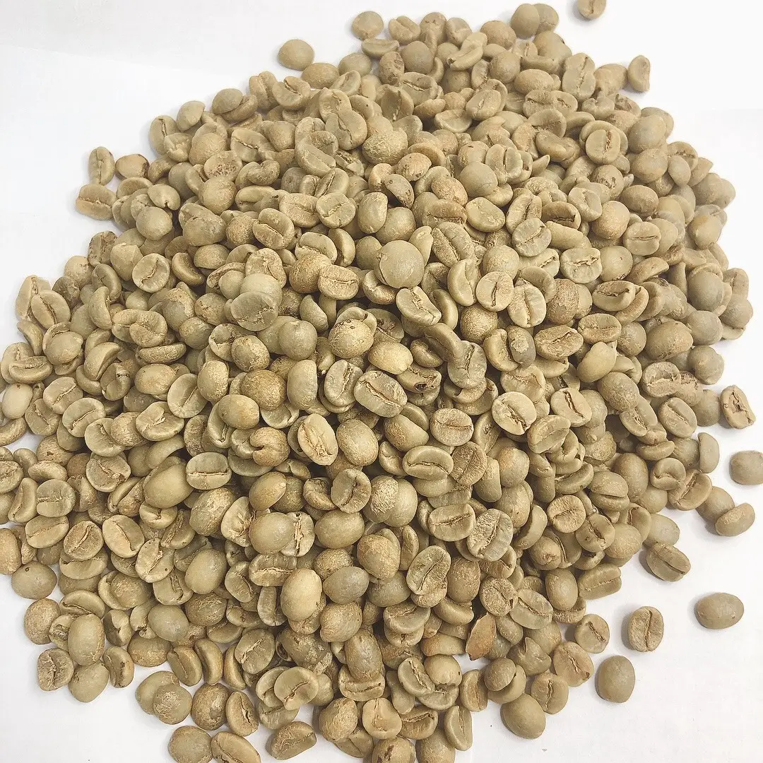 Màn Hình 18 Màn Hình 16 Lớp 1 Đậu Xanh Việt Nam Cà Phê Arabica Chất Lượng Tốt Nhất Nguồn Gốc Duy Nhất Hoàn Toàn Rửa Mật Ong Quá Trình Tự Nhiên