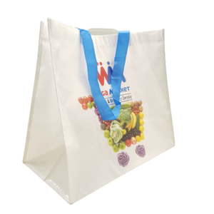 Bolsas de compras de plástico no tejidas PP reutilizables con construcción de tuberías con logotipo y mango de PP 2 colores Uso de comestibles - Product Image 1