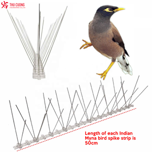 Thân thiện với môi trường rắn chống chim Gai không gây chết người bệ Polycarbonate không giết chim kiểm soát cho sóc sử dụng ngoài trời - Product Image 3