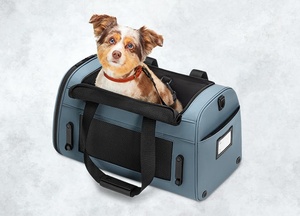 Bolsas de transporte para mascotas, Transportín de viaje para perros y gatos, 2021 - Product Image 2