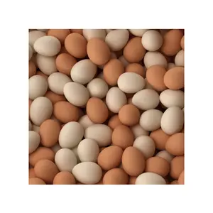 Großhandel Bio Fresh Chicken Table Eggs von renommierten Lieferanten