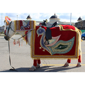 Costume de cheval pour mariages indiens, motif de paon, incroyable, marié indien, cheval occidental - Product Image 1