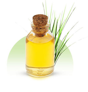 Aceite Esencial de Vetiver 100% Puro, Destilado al Vapor, Revitalizador de la Piel, Elimina Imperfecciones, Fabricante Khus Essential Oil AARNAV GLOBAL - Product Image 1
