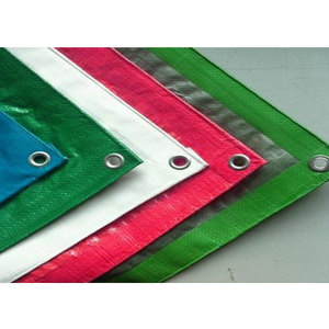 Hoja de lona de PE de color de tamaño personalizado Recubrimiento UV Plástico HDPE Impreso y empaquetado - Product Image 1