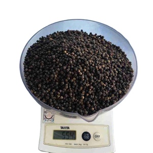 Pimienta Negra de Primera Calidad, Origen Vietnam, Cruda, Seca, Especia Herbal, 50 kg, Certificación HACCP, Phalco JSC - Product Image 1