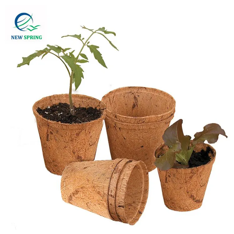Kaliteli doğal yeşil ürünler-Coco hindistan cevizi Fiber hindistan cevizi tencere kabuk çiçek saksısı