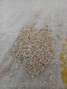 Galets de jardin en pierre calcaire jaune naturelle pour le Japon - Product Image 2