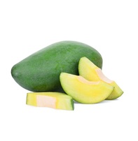 Mangga Segar Alami Manis Aromatik Berkualitas Tinggi Merek CTC Kelas 26cm 3kg Buah Mangga Bangladesh Diekspor Secara Global Harga Rendah