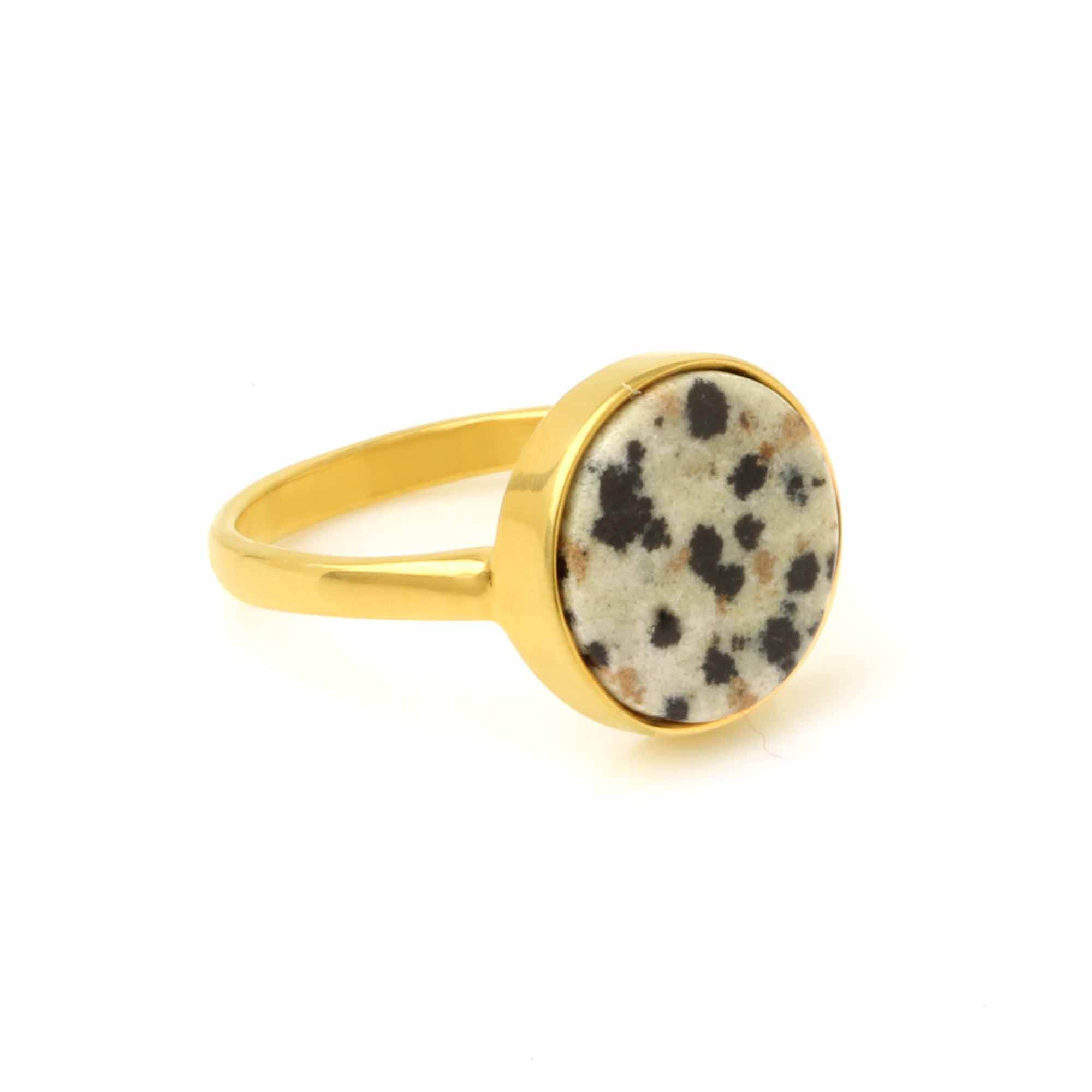 สีดำ &amp;   ครีม