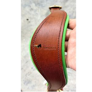 Qualité supérieure Châtaigne Cheval Équestre Halter Vert Cuir Rembourré avec Canal Vide sur le Nez Pièce de Joue Quincaillerie Dorée - Product Image 6