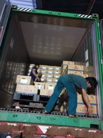 De premium verse Global Gap Cavendish banaan / Vincent +84987336614