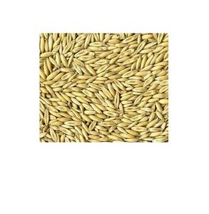 Sièges roulés, flocons, cannelés et à farine, pour animaux de compagnie, en vrac, offre à ne pas rater - Product Image 2