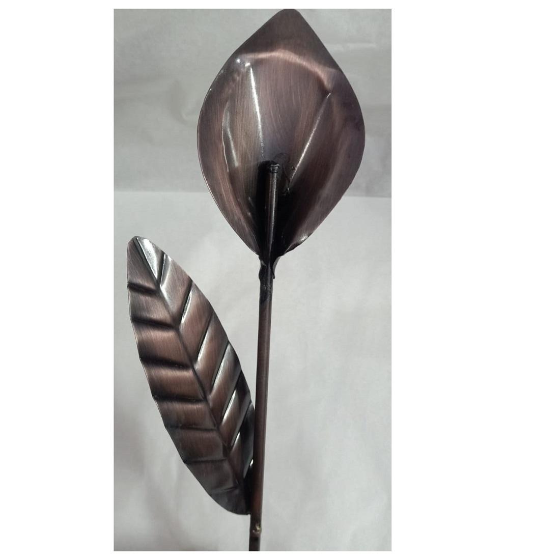 แสดงภาพ