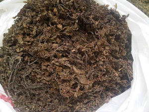 SARGASSUM SECO DE VIETNAM AL MEJOR PRECIO COMPETITIVO - KATIE +84795877933 - Product Image 4
