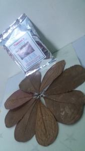 ใบอัลมอนด์อินเดียขนาด10ซม. ถึง18ซม. 4-7นิ้ว10นิ้วสำหรับสัตว์เลี้ยงในตู้ปลาอุปกรณ์สำหรับสัตว์เลี้ยงคุณภาพระดับพรีเมียม - Product Image 3